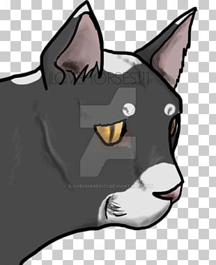 Whiskers Dog Cat Snout PNG