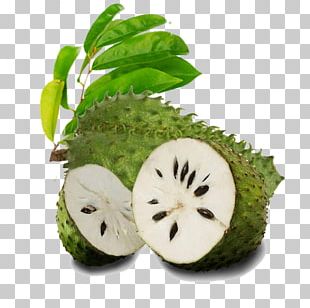 Soursop Png Images Soursop Clipart Free Download