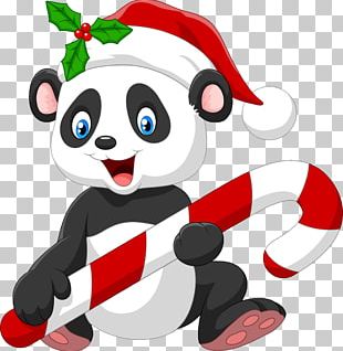 Giant Panda Santa Claus Candy Cane Bear PNG