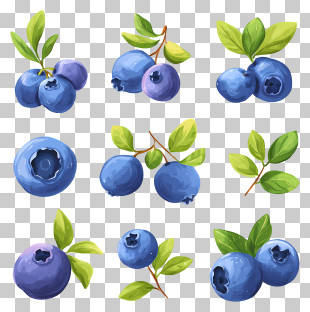 Blueberry Fruit - Variety Of Blueberries With Leaves PNG