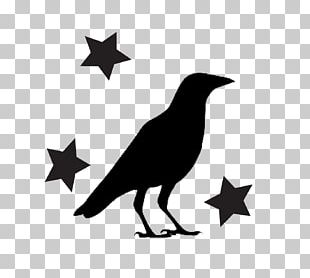 Video New York City Primitive Olde Crow And Winery GIF PNG