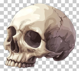 Isometric Skull - Cracked Skull Illustration PNG