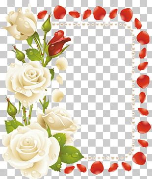 Frames Floral Design Flower PNG, Clipart, Art, Branch, Cereal ...