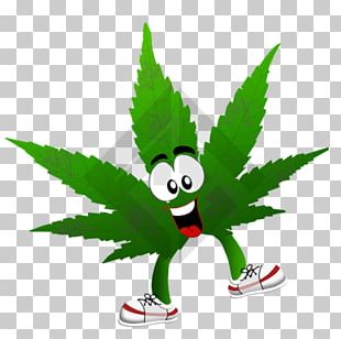 Cannabis Leaf Hashish PNG, Clipart, Black And White, Cannabis, Cannabis ...