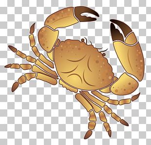 Coconut Crab Cliparts, Stock Vector and Royalty Free Coconut Crab  Illustrations