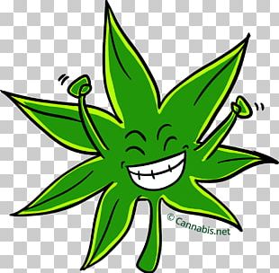 Cannabis Sativa Kush Cannabidiol Medical Cannabis PNG, Clipart ...