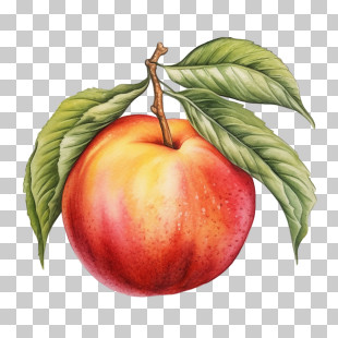 Peach - Red Apple With Green Leaves PNG