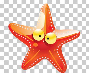 Drawing Sea Starfish Cartoon PNG, Clipart, Animal, Animals, Aquarium ...