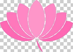 Nelumbo Nucifera Flower PNG