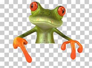 Grenouille Png Images Grenouille Clipart Free Download