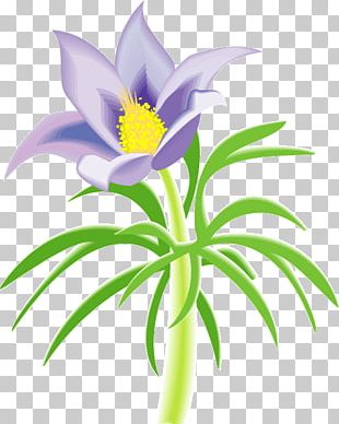Attention Deficit Hyperactivity Disorder Petal Flower PNG