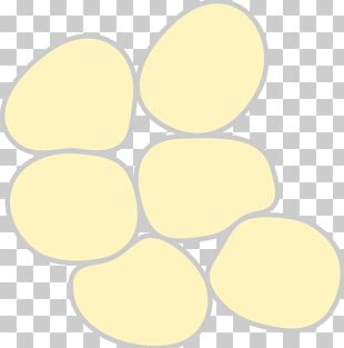 Adipose Tissue Stock Photography Computer Icons PNG, Clipart, Adipose ...