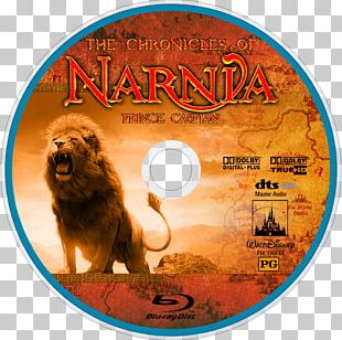 Peter Pevensie The Chronicles Of Narnia: The Lion PNG, Clipart, Aslan ...