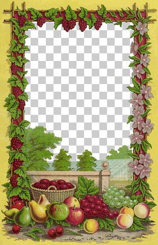 Fruit Frames Seed PNG