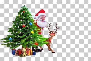 Santa Claus Free!!! Christmas Tree PNG, Clipart, Branch, Cartoon ...