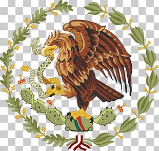 Flag Of Mexico Coat Of Arms Of Mexico National Symbols Of Mexico PNG ...