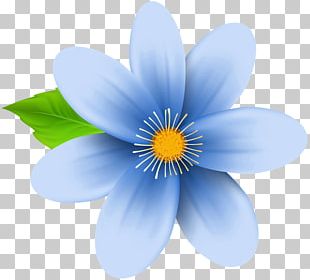 Flower Blue Violet PNG, Clipart, Blue, Cut Flowers, Dahlia, Drawing ...