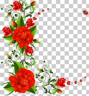 Rose Flower Floral Design PNG, Clipart, Blume, Cicek, Cicek Resimleri ...