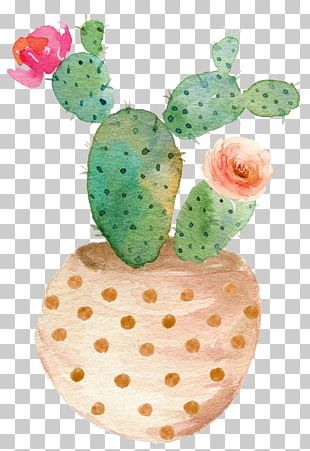 Cactaceae Art Succulent Plant Drawing Watercolor Painting PNG, Clipart ...