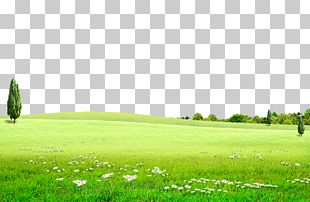 Đồng cỏ (Prairie): Thăng hoa với đồng cỏ rộng lớn, xanh mướt và cỏ cây đầy sinh khí, tạo nên một bức ảnh tuyệt đẹp và cảm động. Hít thở không khí trong lành, ngắm nhìn hoàng hôn thả diều hay trải nghiệm du lịch cắm trại đầy thú vị tại nơi đây.