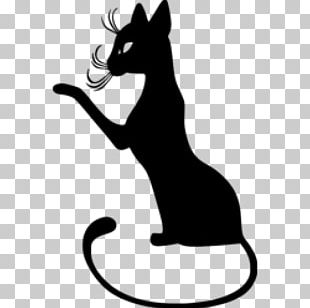 Cat Kitten Drawing PNG, Clipart, Angle, Animals, Black, Black And White ...