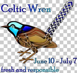 Early Irish Astrology Astrological Sign Druid Zodiac PNG
