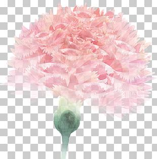 If(we) PNG
