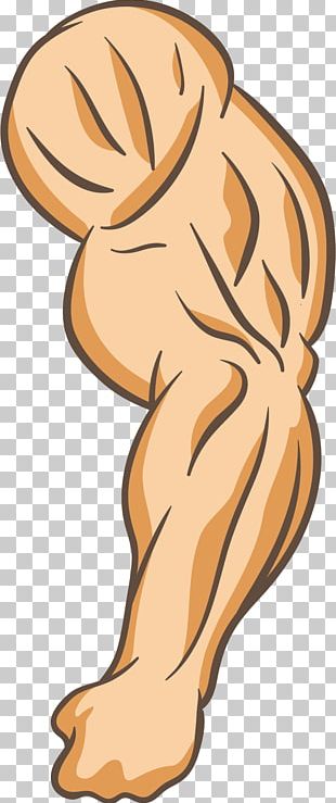Strong Arm PNG Images, Strong Arm Clipart Free Download