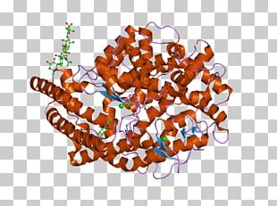 Angiotensin-converting Enzyme Angiotensin II Gene Therapy PNG