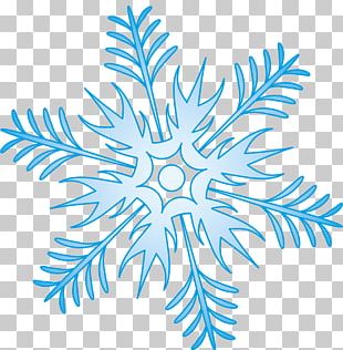 Khabarovsk Snowflake Shape PNG
