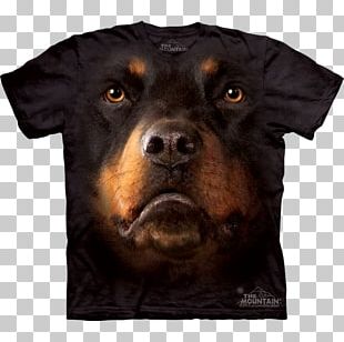 Rottweiler T-shirt Bernese Mountain Dog Divine Dogs Online PNG