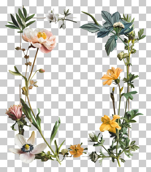 Spring Flowers Frame - Decorative Floral Frame PNG