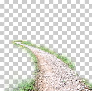 Take Me Home PNG