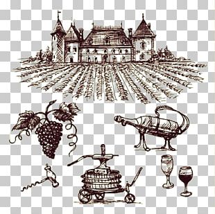 Wine Common Grape Vine Barrel Bottle PNG