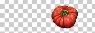 Tomato Bell Pepper Paprika Winter Squash Chili Pepper PNG