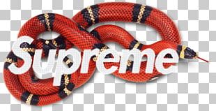 Common Garter Snake Reptile Coral Snake Red-bellied Black Snake PNG