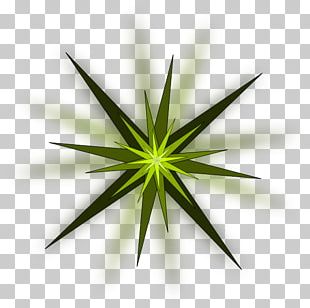 Green Star Computer Icons PNG