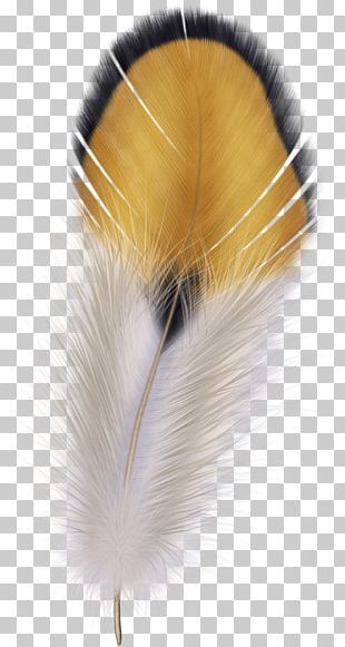 Bird The Floating Feather Pen PNG