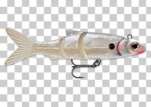 Spoon Lure Recreational Fishing Plug Surface Lure PNG