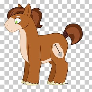 Pony Foal Mustang Colt Mane PNG