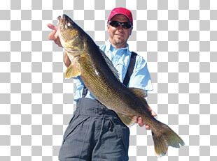 Pigeon Lake Fishing Rods Lake Of The Woods PNG