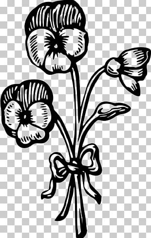 Floral Design Elder PNG