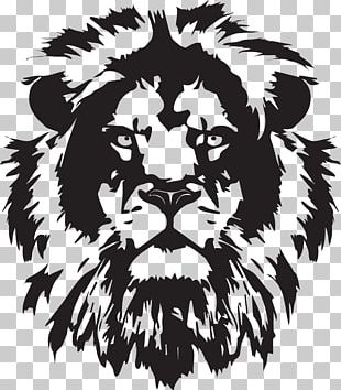 Lionhead Rabbit Lion's Head PNG