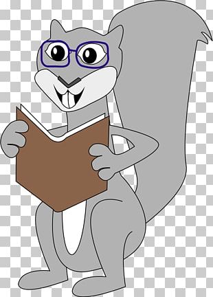 Squirrel Cartoon PNG