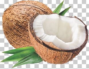 Smoothie Coconut Milk Coconut Oil PNG, Clipart, Coconut, Coconut Milk ...