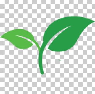 Seedling Plant Shoot Sowing PNG