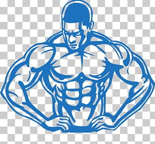 Arnold Schwarzenegger Female Bodybuilding PNG, Clipart, Abdomen, Arm ...