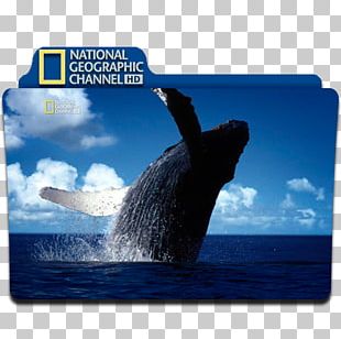National Geographic Computer Icons High-definition Television PNG
