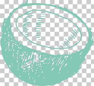 Coconut Arecaceae PNG