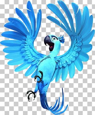 Jewel Blu Nigel Linda Rio PNG, Clipart, Angry Birds, Anne Hathaway ...